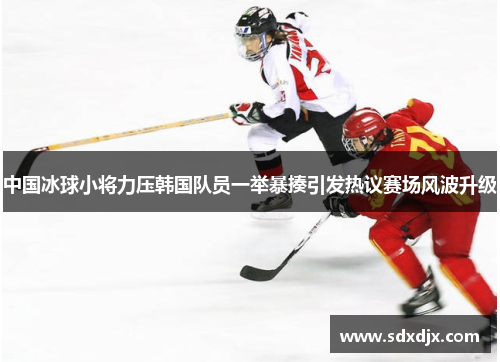 中国冰球小将力压韩国队员一举暴揍引发热议赛场风波升级