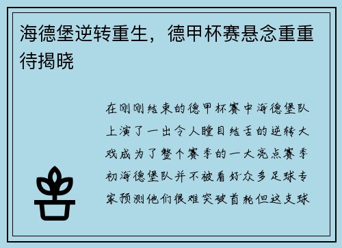 海德堡逆转重生，德甲杯赛悬念重重待揭晓